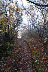 Climbing mountain in autumn, Nasu, Tochigi, Japan