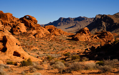 red rock canyon