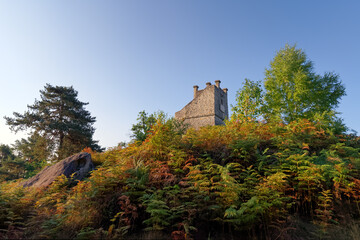 Obraz premium Denecourt tower in Fontainebleau forest