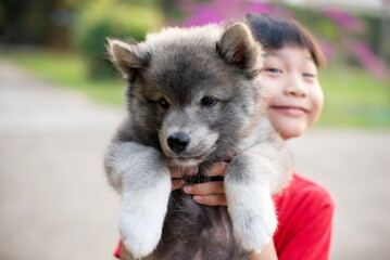 Little asian boy holding puppy in garden