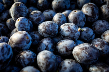 blueberries in a bowl