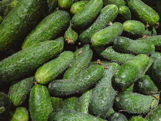 Heap pile bunch of cucumbers vegetables lying in basket boxes shelves in supermarket grocery. Healthy raw organic fresh food. Shopping market, vitamins and minerals