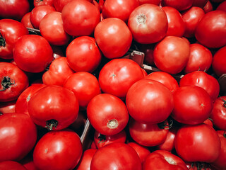 Heap pile bunch of red tomatoes vegetables lying in basket boxes shelves in supermarket grocery. Healthy raw organic fresh food. Shopping market, vitamins and minerals

