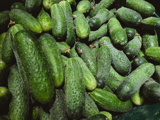 Heap pile bunch of cucumbers vegetables lying in basket boxes shelves in supermarket grocery. Healthy raw organic fresh food. Shopping market, vitamins and minerals