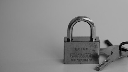 Naklejka premium Padlock with double anti-burglary system