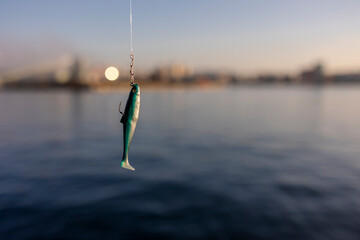 Fish bait on a fishing hook - obrazy, fototapety, plakaty