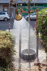 Fototapete bei efototapeten.de bestellen   