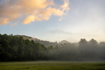 Fototapeta premium Foggy Meadow At Sunrise in Cataloochee