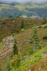 Washington State Landscape Mt. St. Helens