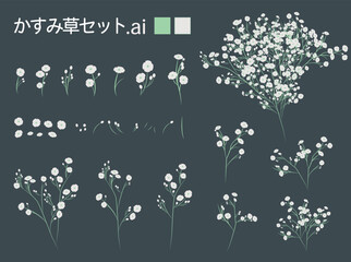 かすみ草セット