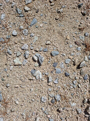 Soil texture background. Top view soil . 
