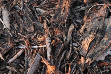 wood texture