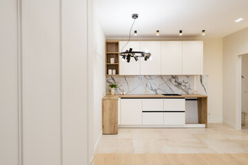 Fototapeta na wymiar Interior design of a new kitchen with stylish furniture. Cleanliness and order