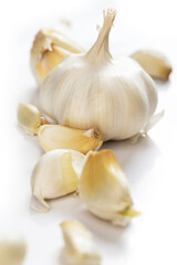 Vegetables on a white background