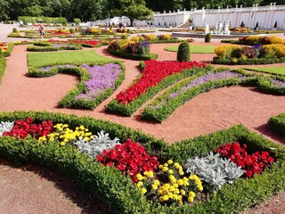 Obraz premium garden with flowers
