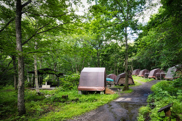 自然に囲まれた高原にあるキャンプ場の、さわやかな夏の風景
