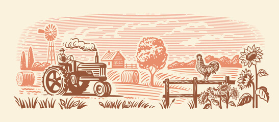 Country farm with tractor and rooster. Countryside line sketch - 527611172