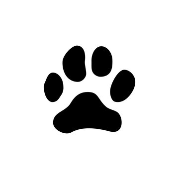 Cat or dog animal paw prints isolated steps trail black silhouette. Vector hunting trail of wildlife animal. Footsteps on footpath. Puppy or kitten pet pawprint tracks, wolf or bear rescue trace