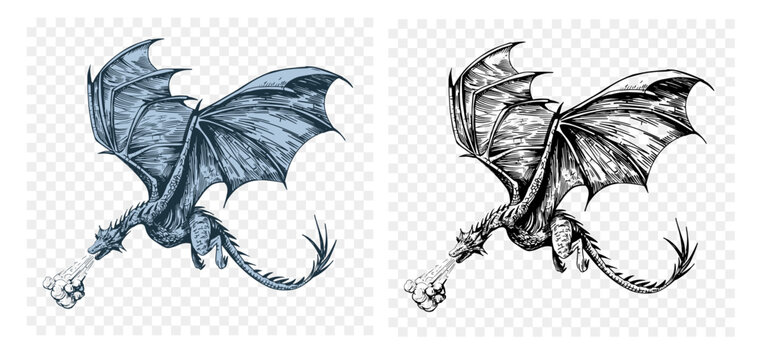 flying dragon illustration. Black ink vector sketch drawing