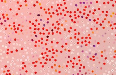 コスモス　ボロノイ　ピンクレッド