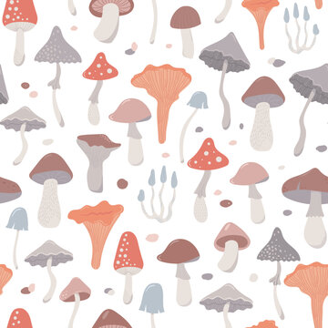 cute mushrooms with fly agaric and boletus. pattern