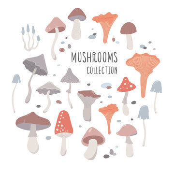 cute mushrooms with fly agaric and boletus. sticker set