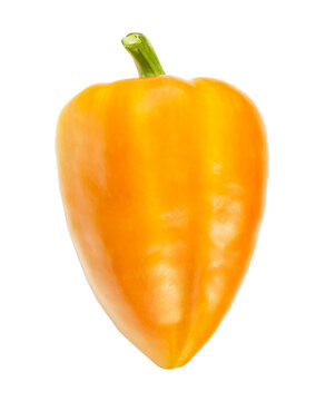 yellow orange pepper isolated on white. the entire image in sharpness.