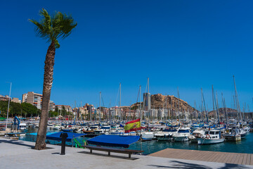 Fototapeta na wymiar Cityscape of Alicante, Spain