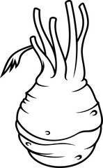 Kohlrabi vegetable, cabbage food or farm veggie vector line icon. Kohlrabi or celery tuber, vegetarian and salad cooking vegetable, farm harvest in outline