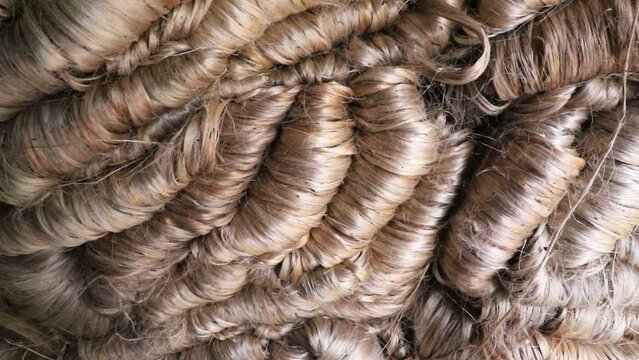 

Close-up shot of thick stacked  bundles of Dry Jute fiber Texture Background   