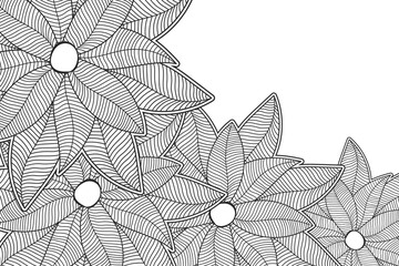 Obraz premium Abstract doodle sketch flower. Contemporary modern black and white trendy vector illustration.