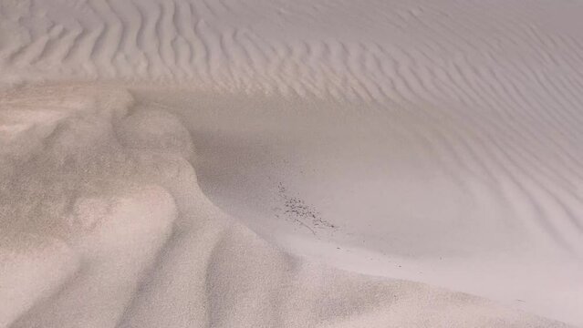 Windy day in white sand beach dunes forming waves