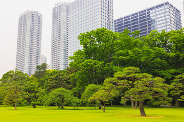 浜離宮恩賜公園の景色