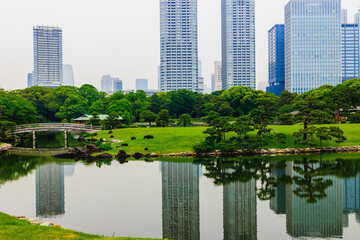 浜離宮恩賜公園の景色