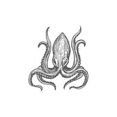 Pouple devilfish, retro octopus marine animal isolated eight-limb mollusk monochrome sketch icon. Vector octopus with soft body, eight sucker-bearing arms. Kraken aquatic monster, aquarium creature