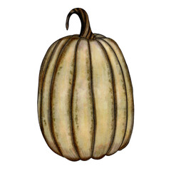 pumpkin isolated on white background