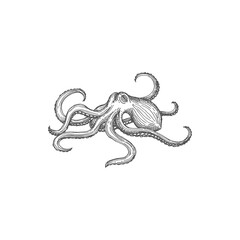 North Pacific giant octopus isolated marine creature with eight arms monochrome sketch icon. Vector sea monster kraken, devilfish or pouple aquatic animal with head and suckers, cephalopod creature - obrazy, fototapety, plakaty