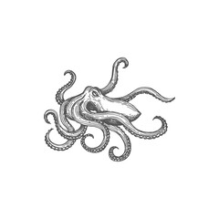 Retro octopus, kraken devilfish isolated sea monster monochrome sketch icon. Vector eight-limbed mollusc, soft bodied octopus, Octopoda marine animal with tentacles and suckers, fishing sport mascot