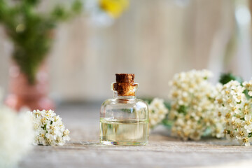 Obraz na płótnie Canvas A bottle of essential oil with blooming yarrow or Achillea millefolium