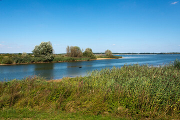 Fototapeta na wymiar lac du Der, Chantecoq, Haute Marne, 52, Marne, 51