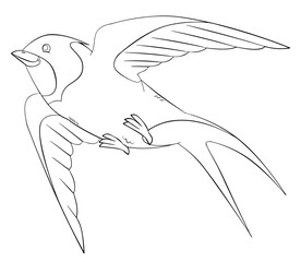 Swallow bird. Element for coloring page. Cartoon style.