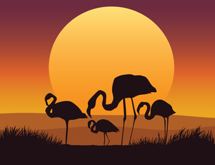 silhouette of a flamingo