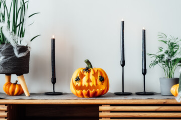 Halloween pumpkin Jack-o-lantern with spiders on it, black candles and decorated home plants...