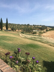 Charming tuscan landscape view