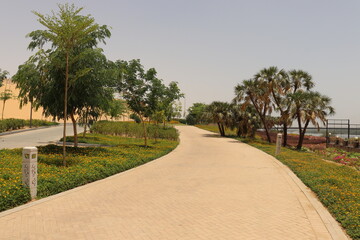 path in the park