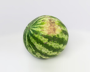 Green round ripe watermelon with yellow barrel isolated on white background