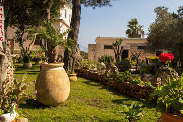 Landscaping on the patio. Trimmed lawns, potted geraniums, stone fences, palms and succulents.