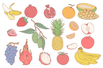 colorful fruit illustration design, fresh fruit design.