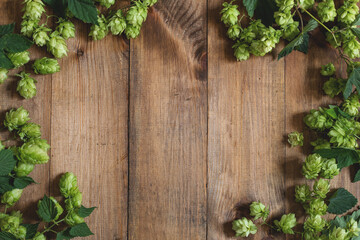Wooden background. Frame of sprigs of fresh green hops on rustic old wooden boards. Copy space.
