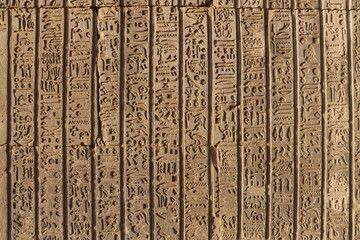 Ancient egyptian hieroglyphics 